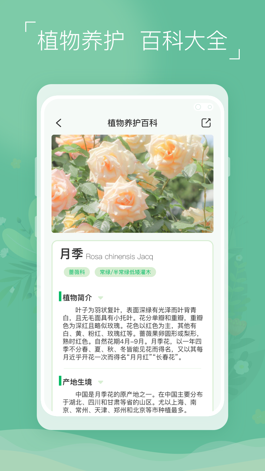 精彩截图-植物识别宝2024官方新版