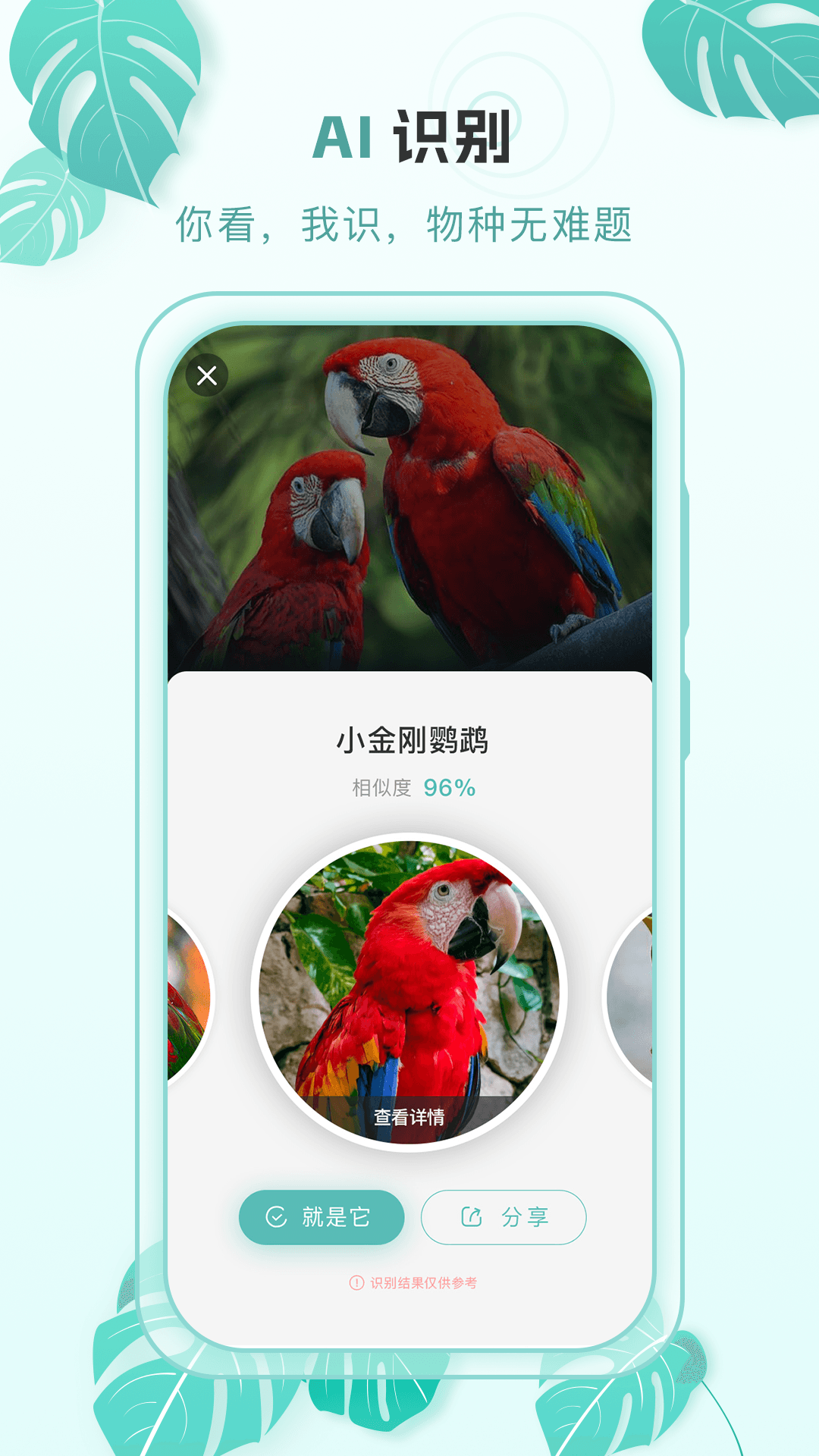 精彩截图-百科物语2025官方新版