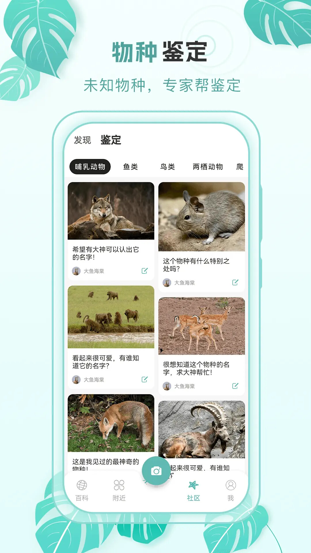 百科物语 截图 3
