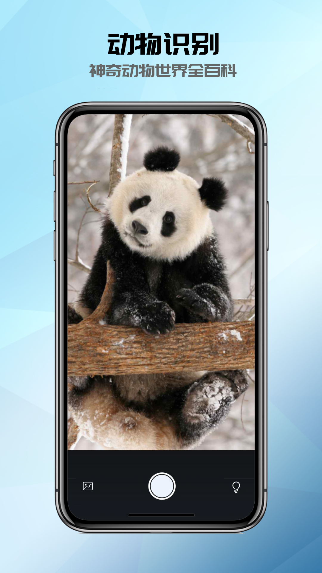 精彩截图-全能识别器2026官方新版