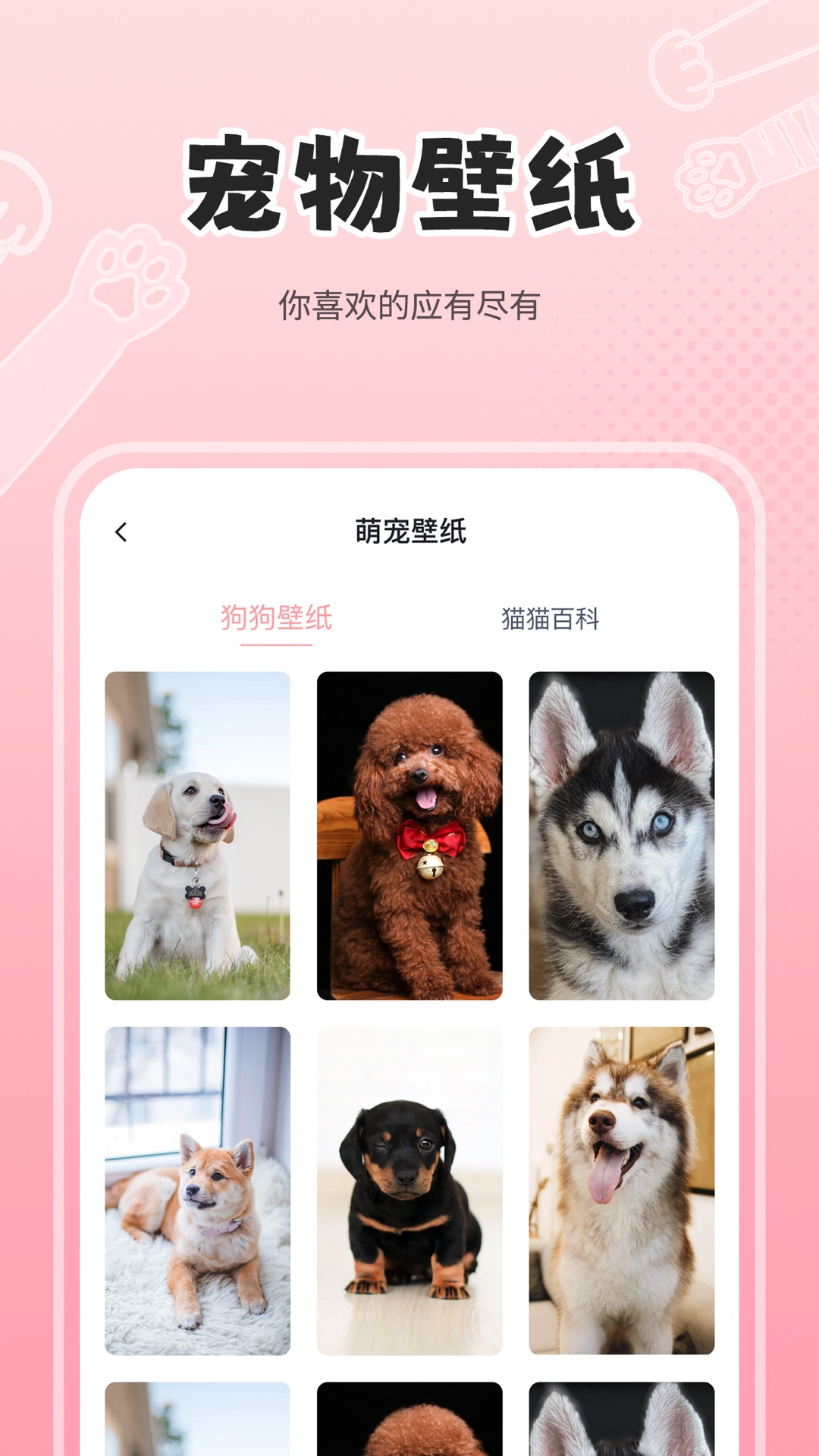 精彩截图-人狗猫交流器2026官方新版