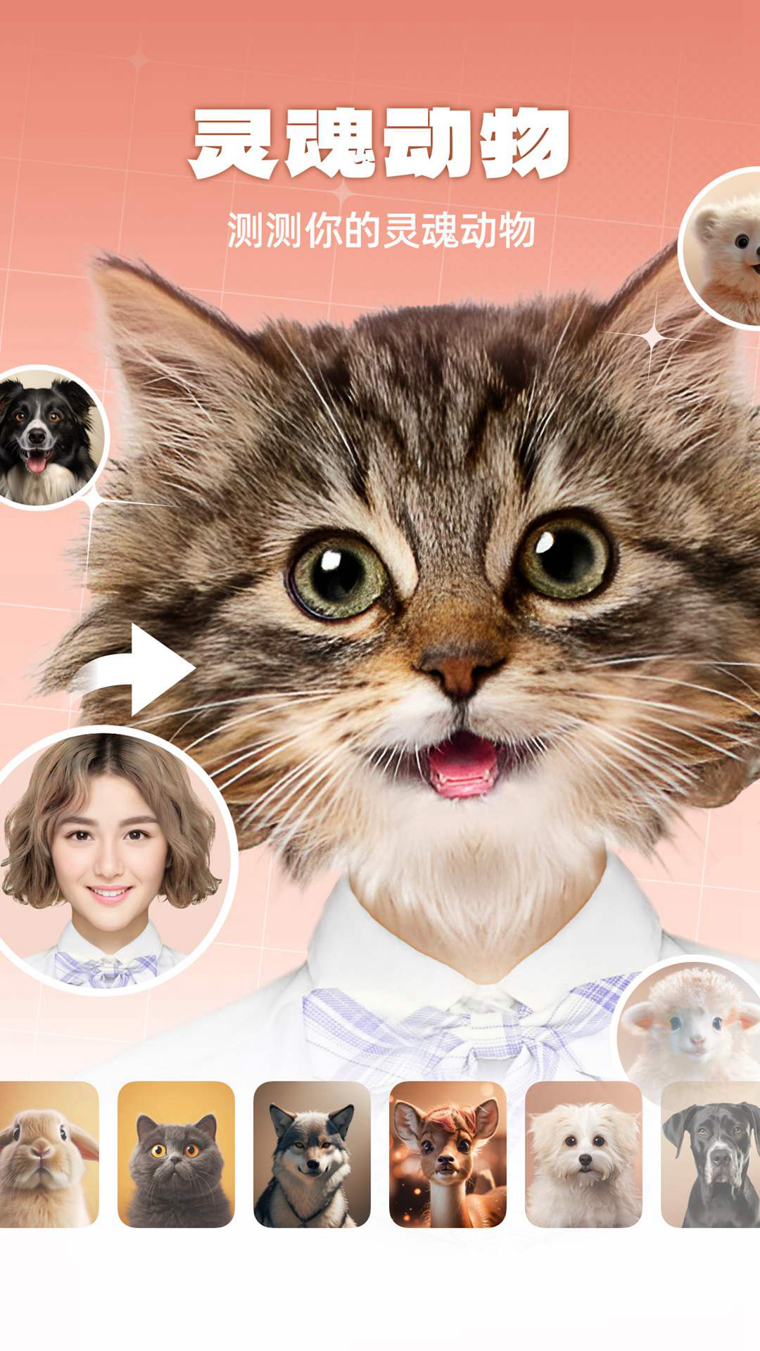 精彩截图-灵魂宠物2026官方新版