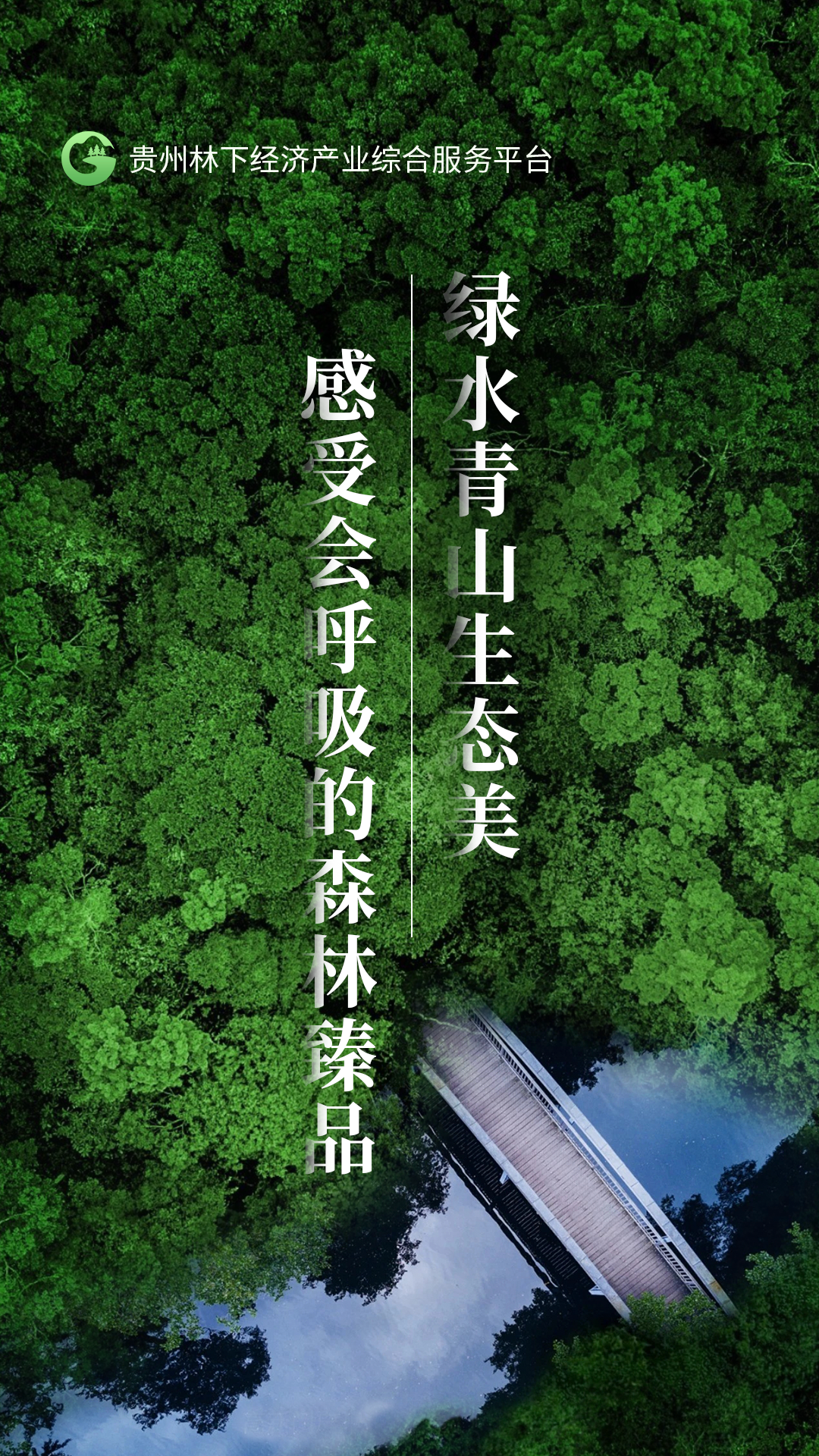 精彩截图-贵州省林下经济产业综合服务体系2025官方新版