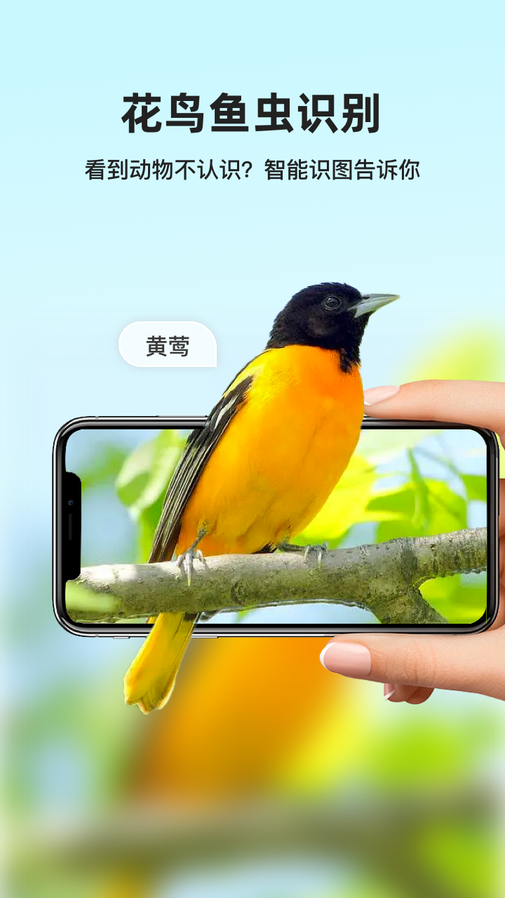 精彩截图-凤灵智能识图2026官方新版