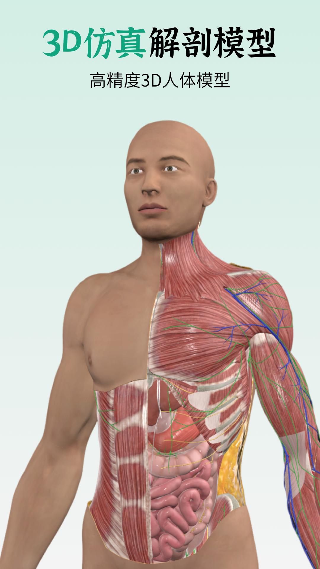 精彩截图-万康人体解剖2026官方新版
