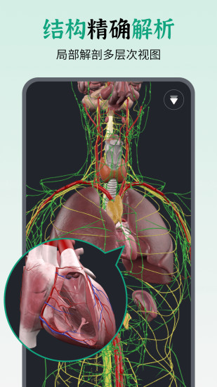精彩截图-万康人体解剖2024官方新版