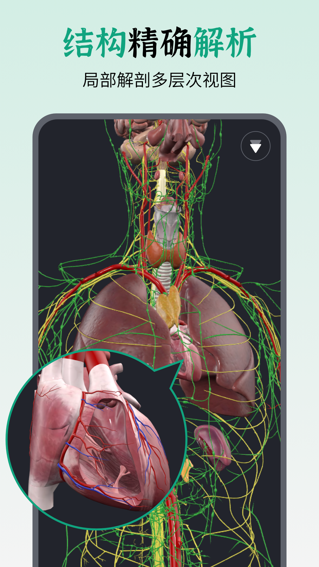精彩截图-万康人体解剖2026官方新版