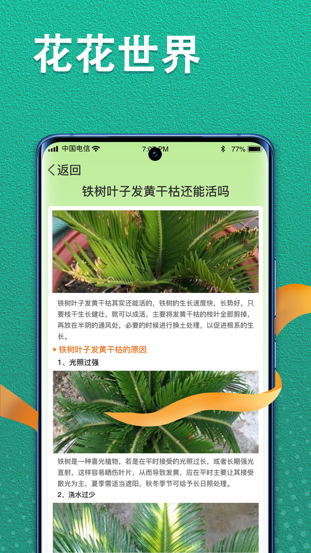精彩截图-植物视界2025官方新版