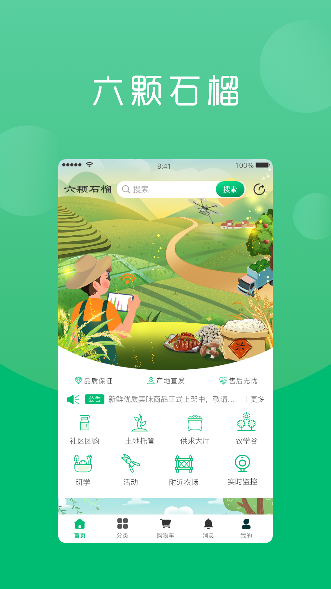 精彩截图-六棵石榴2025官方新版