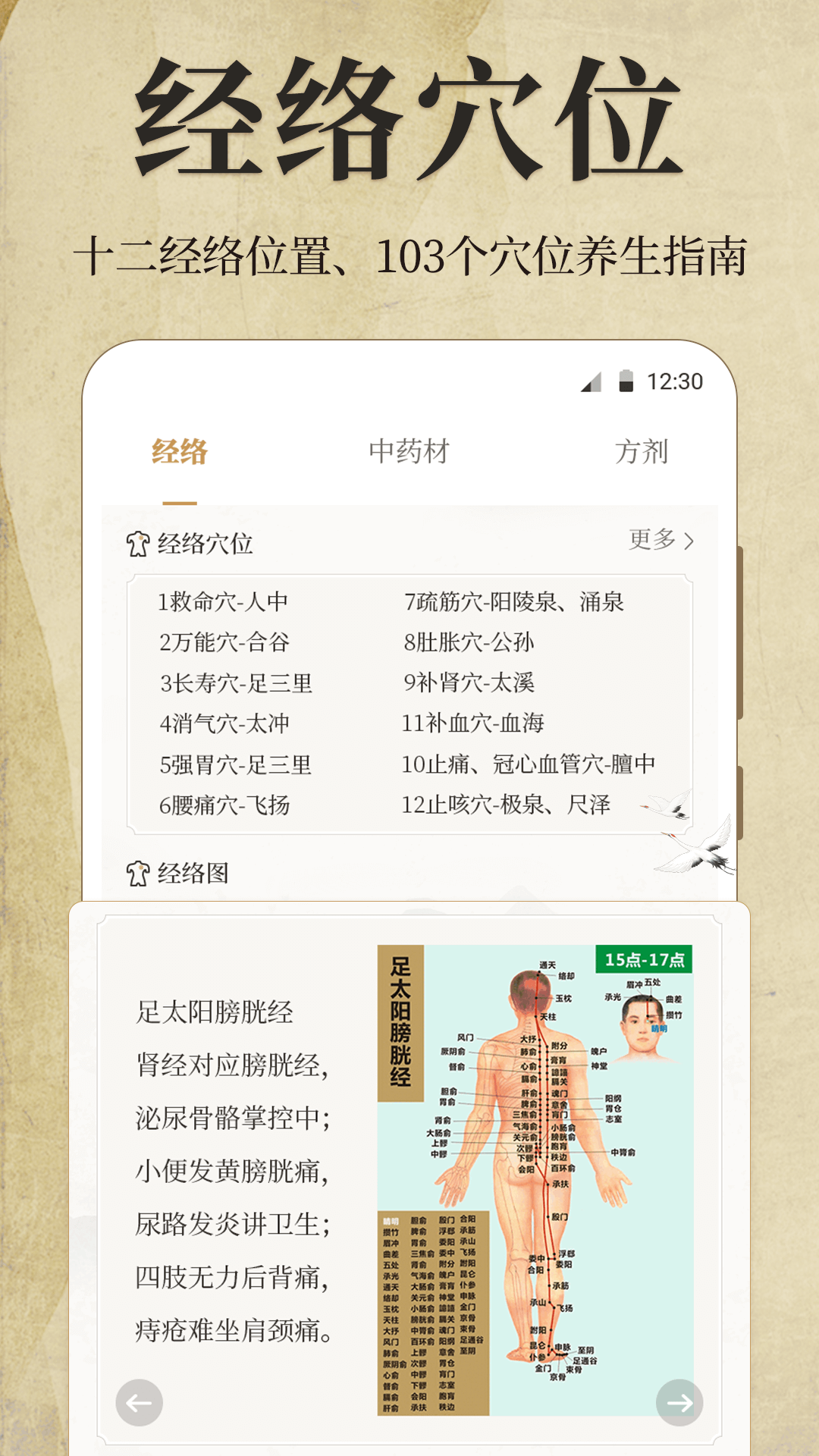 精彩截图-中医iBody经络穴位2026官方新版