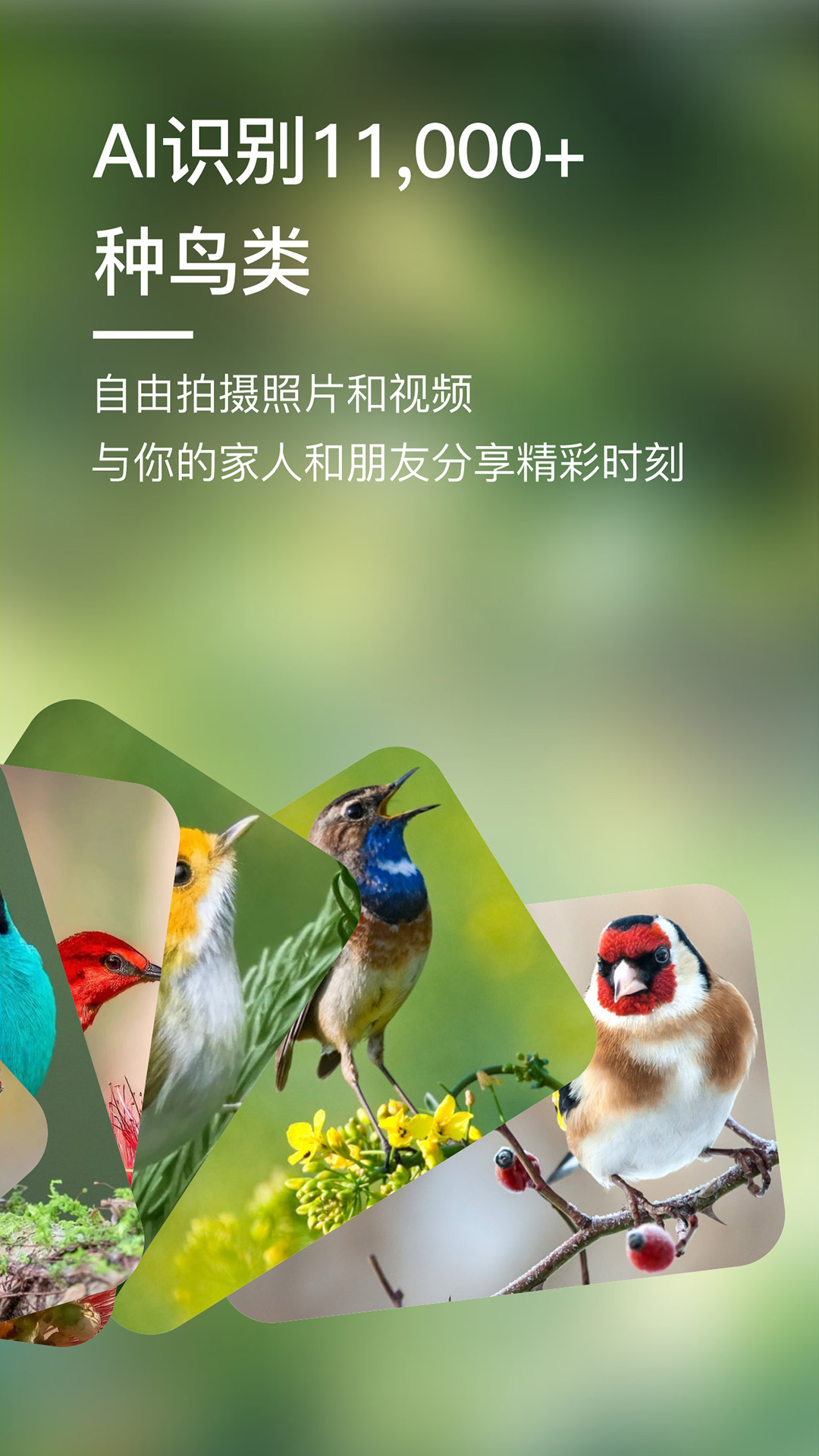 精彩截图-Bird Lover2025官方新版