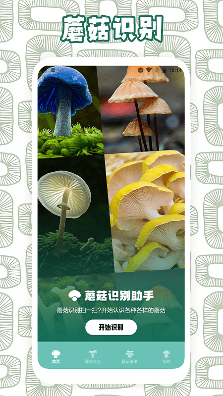 精彩截图-蘑菇识别2025官方新版