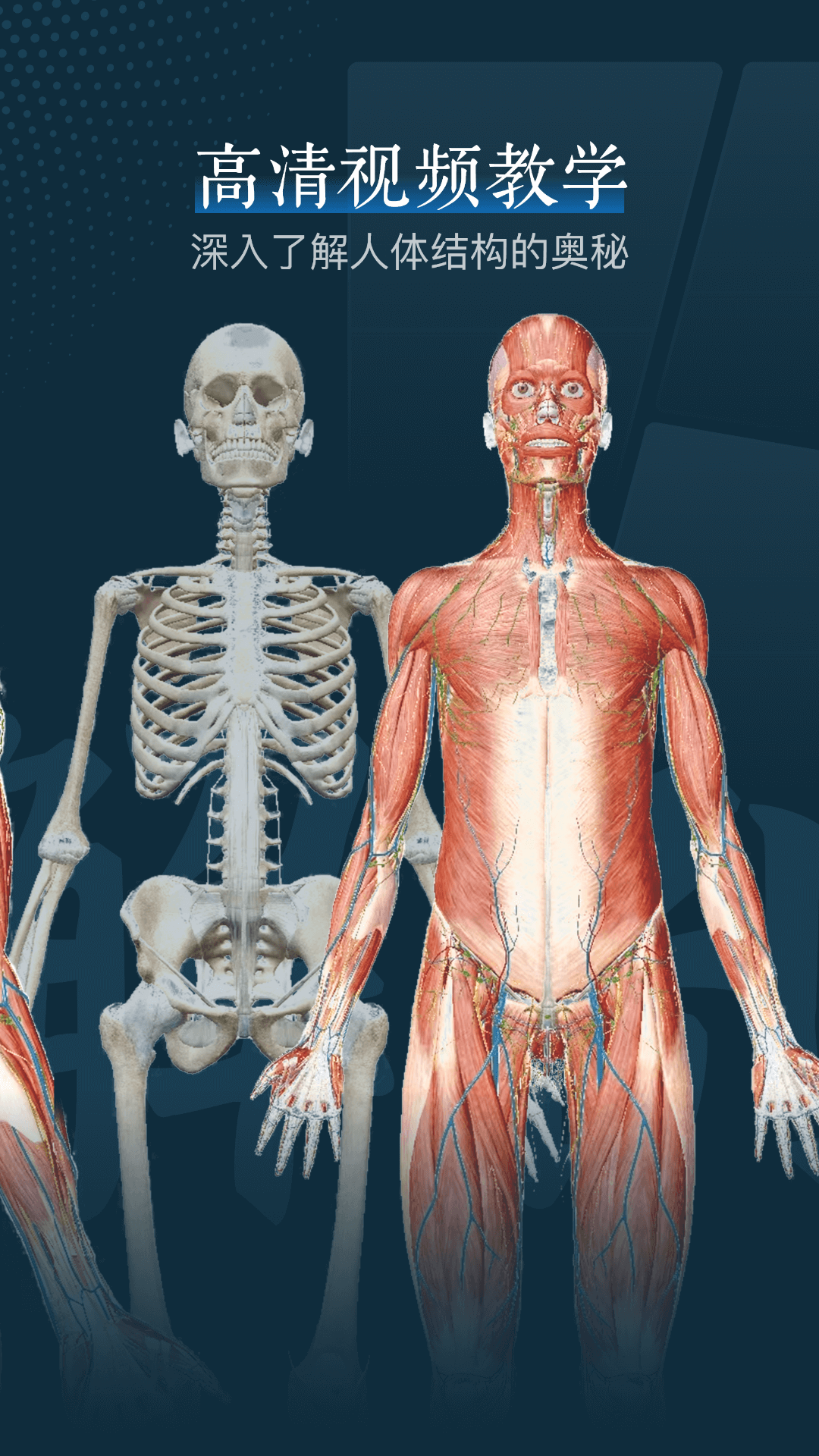 精彩截图-人体解剖3d2024官方新版