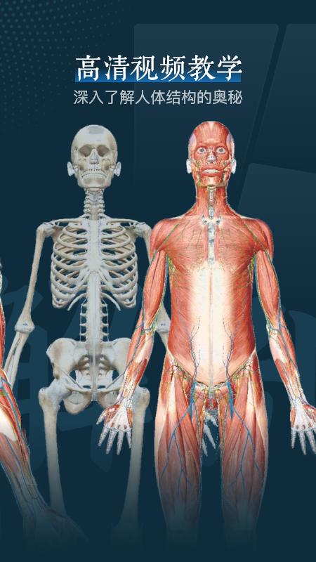 精彩截图-人体解剖3d2024官方新版