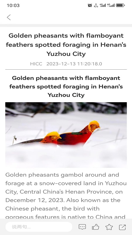 精彩截图-iHenan2026官方新版