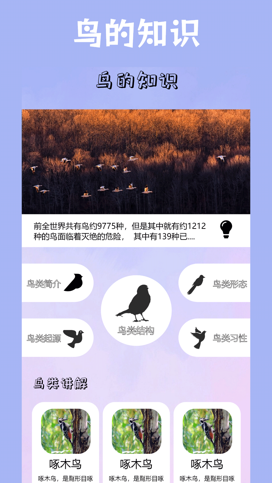 精彩截图-小鸟壁纸2026官方新版