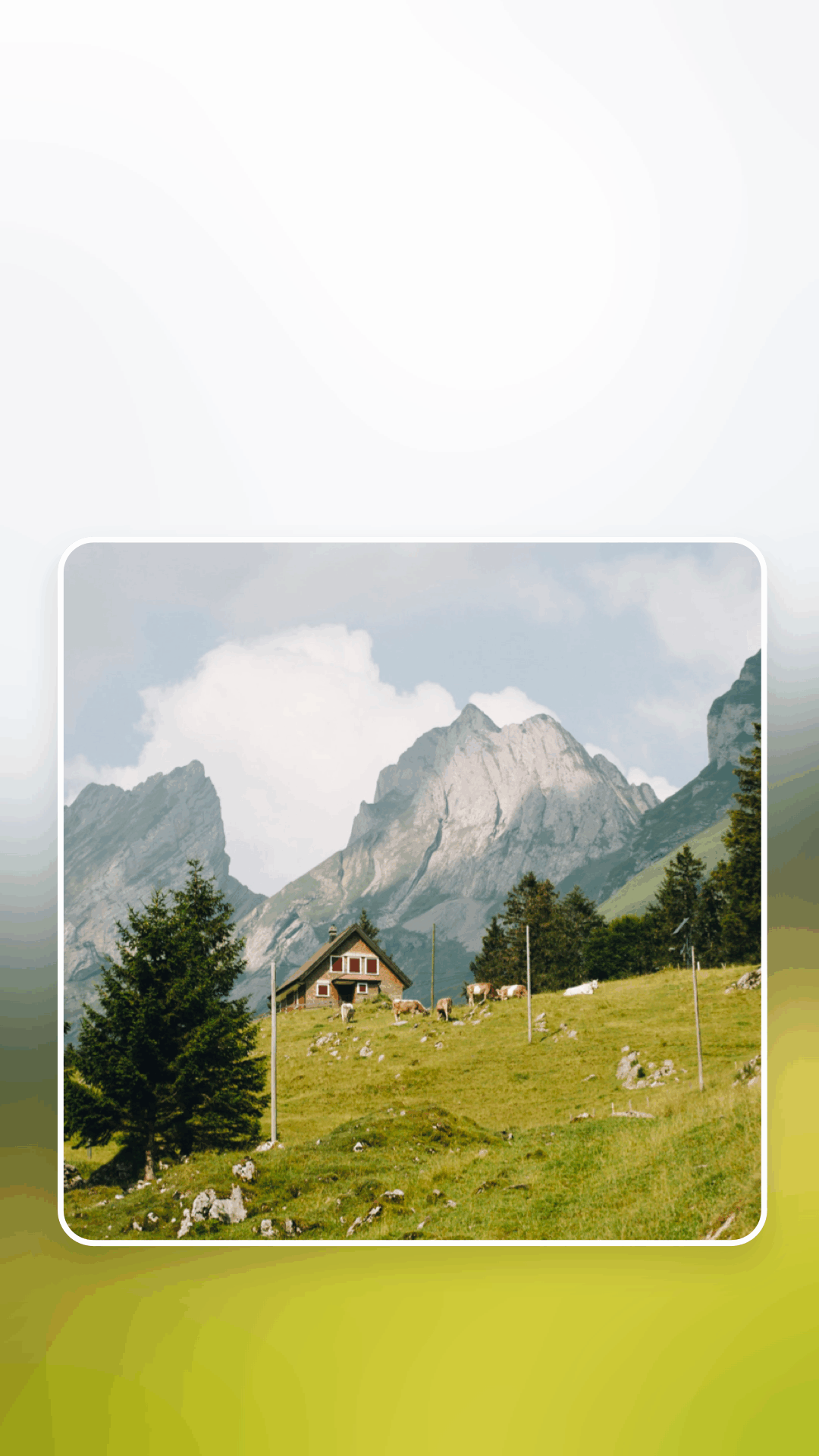 精彩截图-主题壁纸鸭2026官方新版