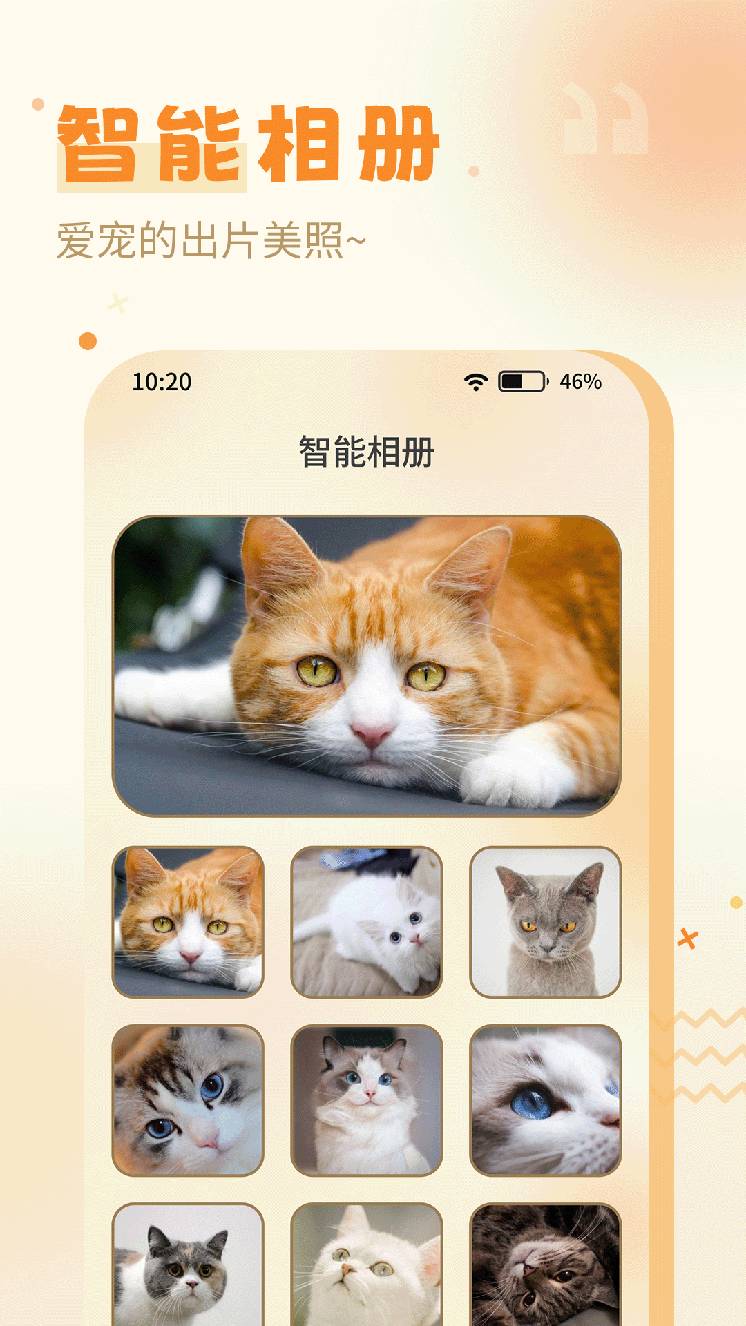 精彩截图-猫语翻译器2024官方新版