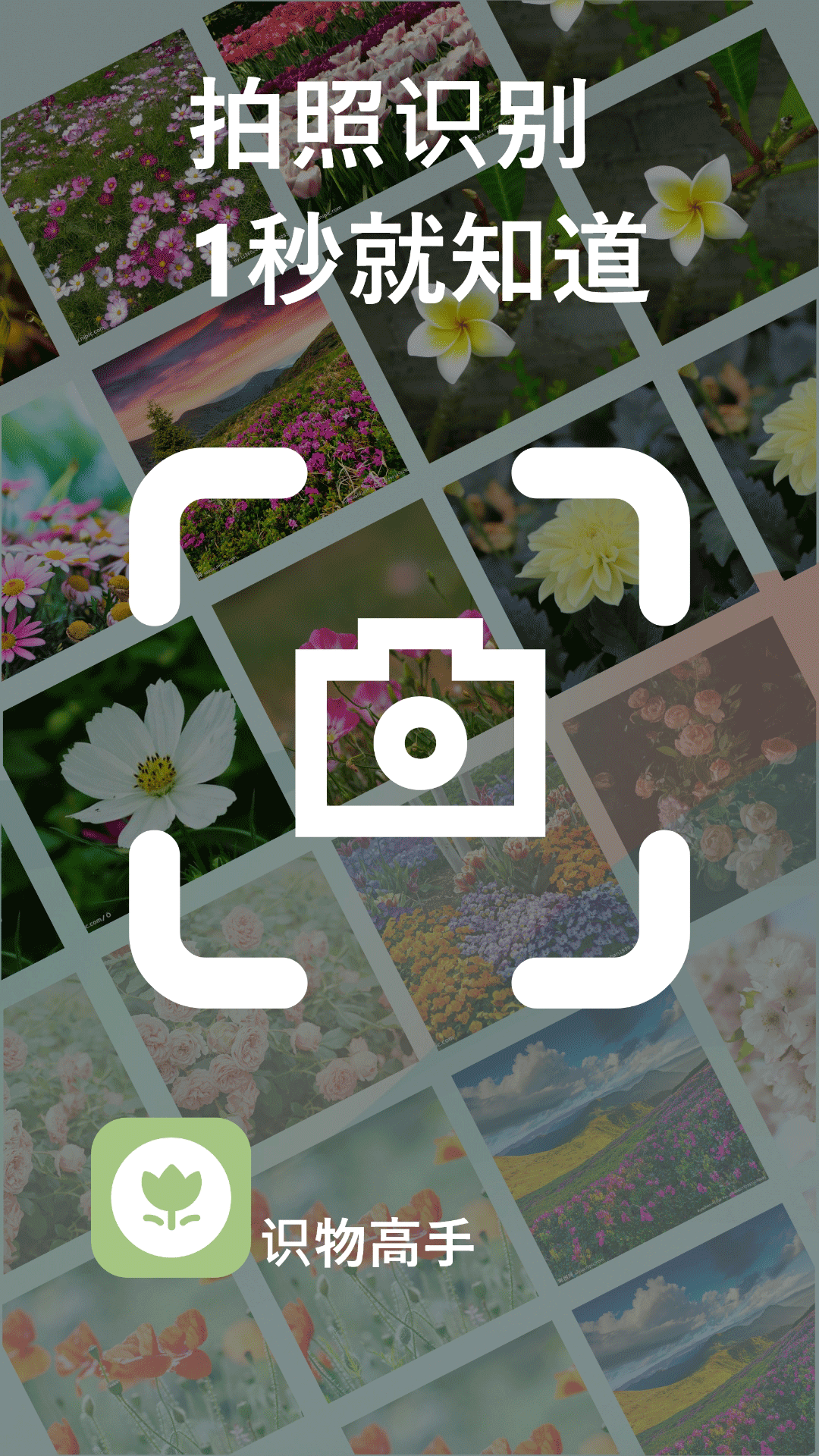 精彩截图-识物2026官方新版