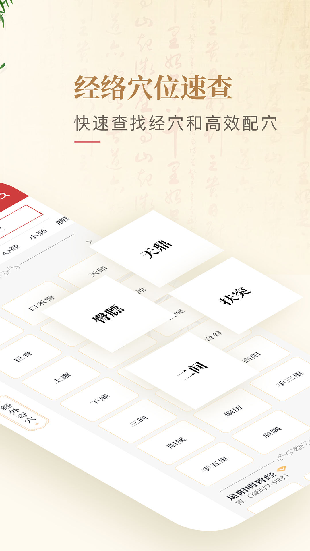 精彩截图-人体穴位图解2025官方新版