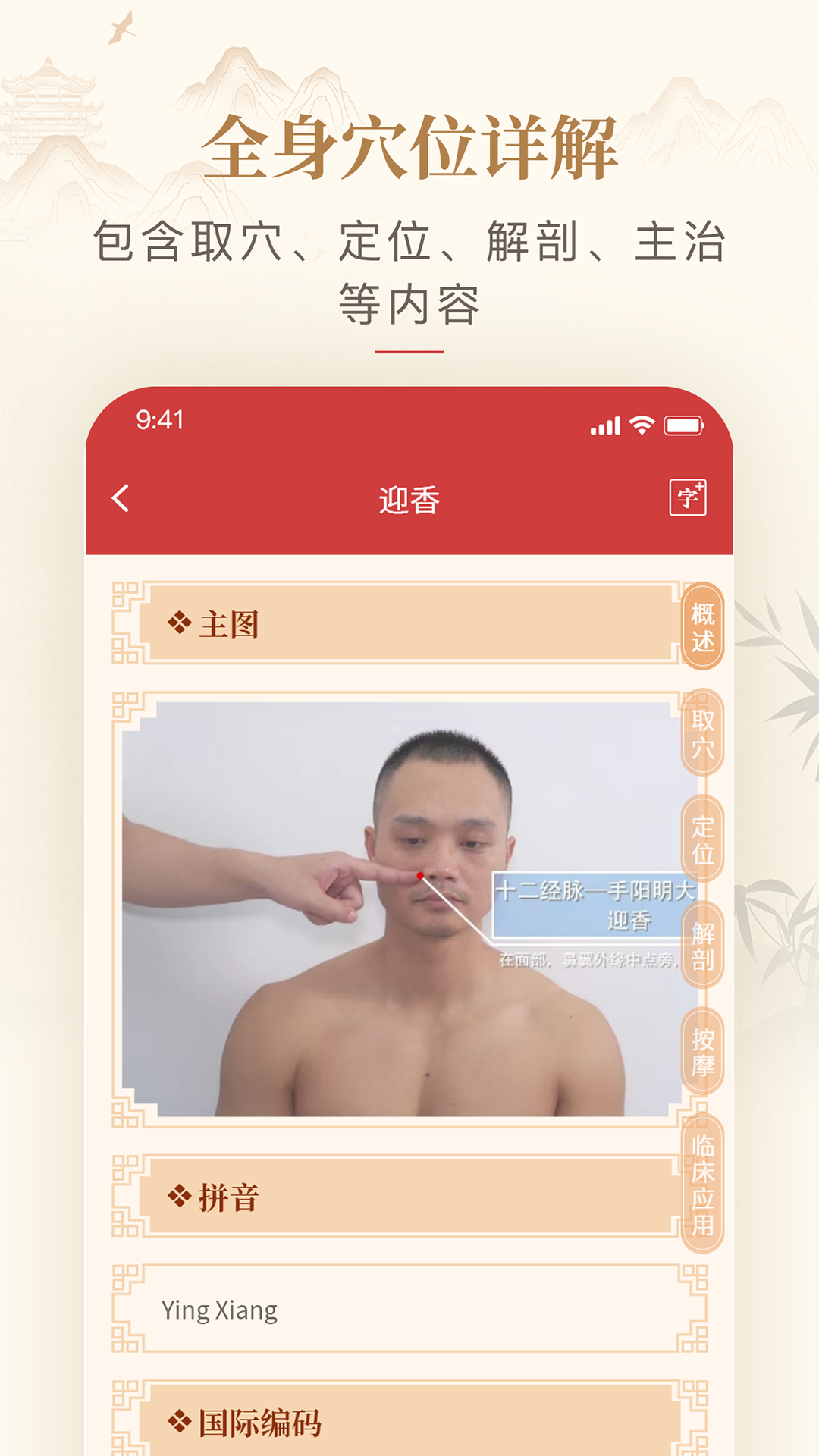 精彩截图-人体穴位图解2025官方新版