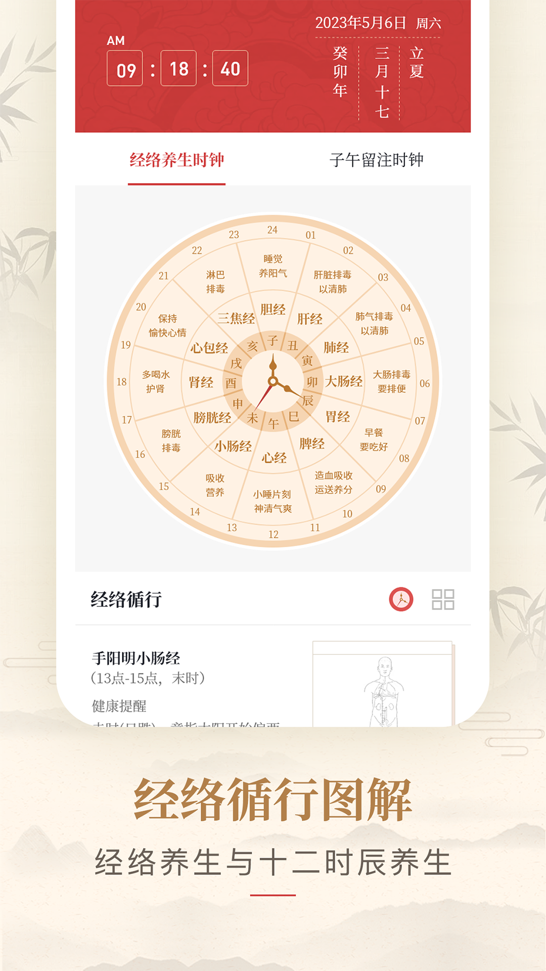 精彩截图-人体穴位图解2025官方新版