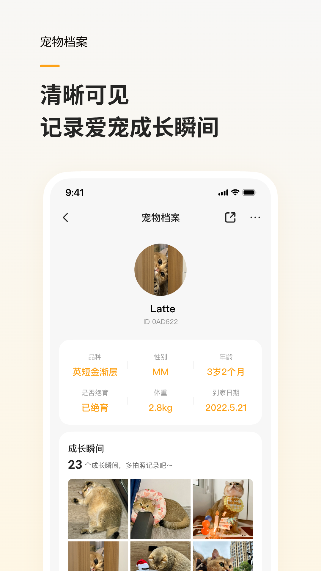 精彩截图-Hiigge2026官方新版