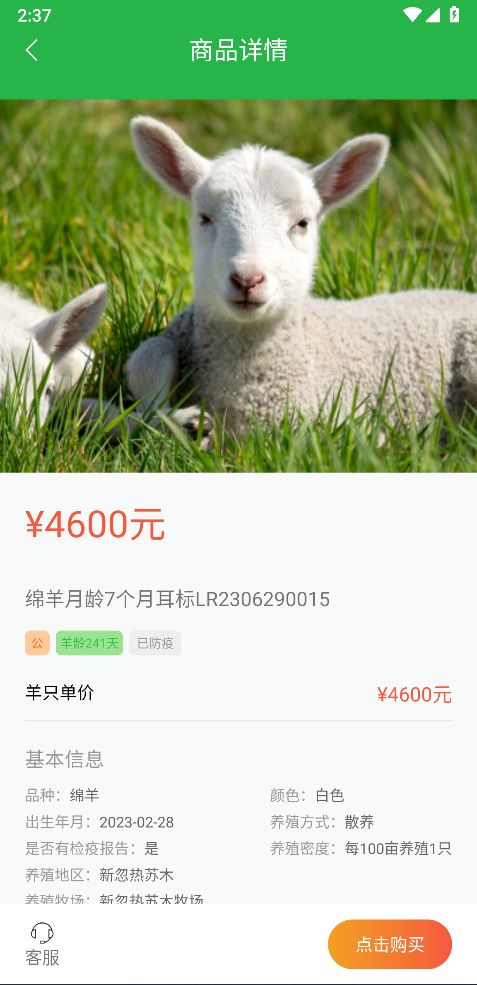 精彩截图-我在草原有只羊2026官方新版