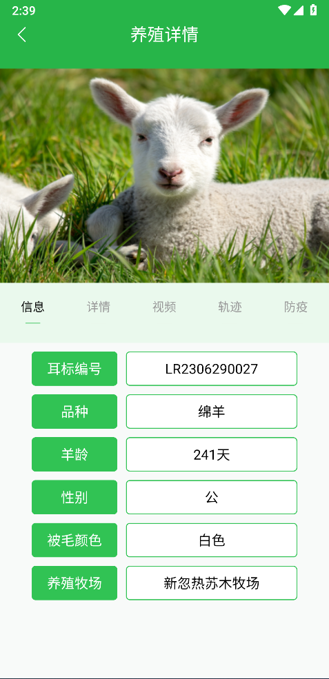 精彩截图-我在草原有只羊2025官方新版