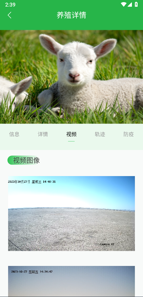 精彩截图-我在草原有只羊2026官方新版