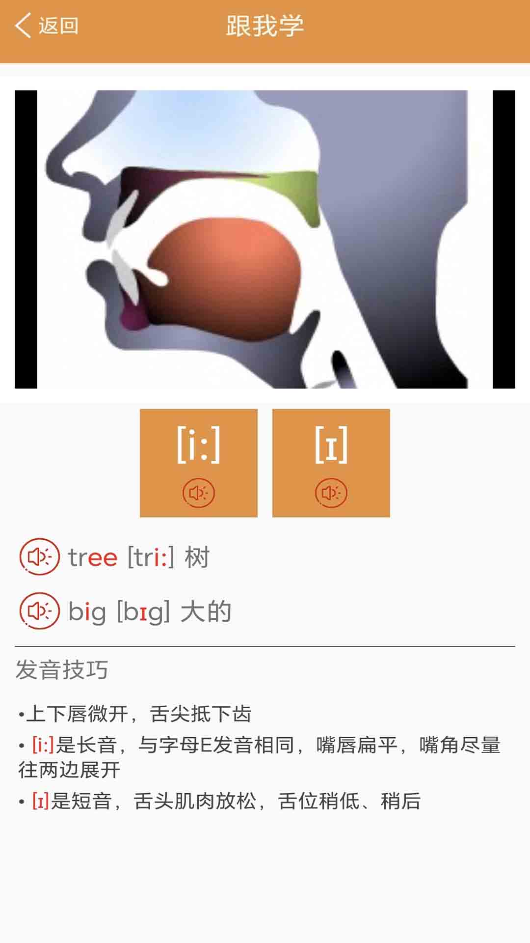 大猫英语国际音标 截图 2