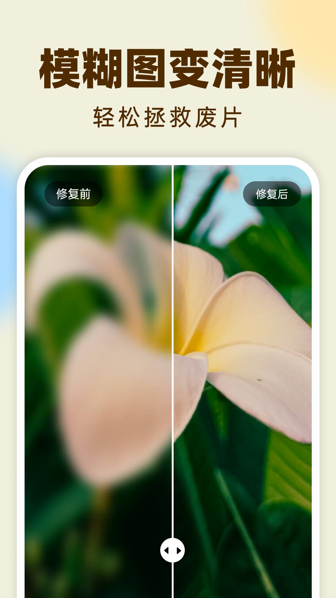 精彩截图-柠檬照片管家2026官方新版