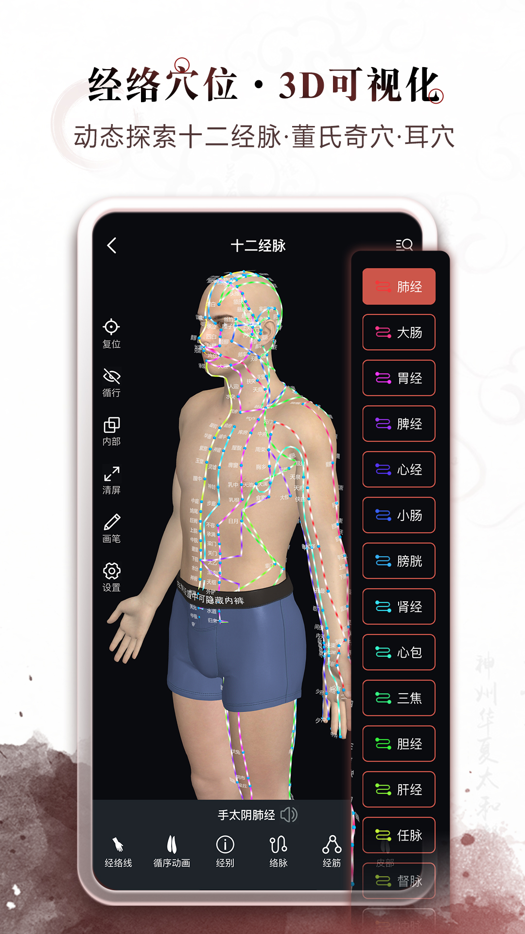 精彩截图-中医经络穴位2025官方新版