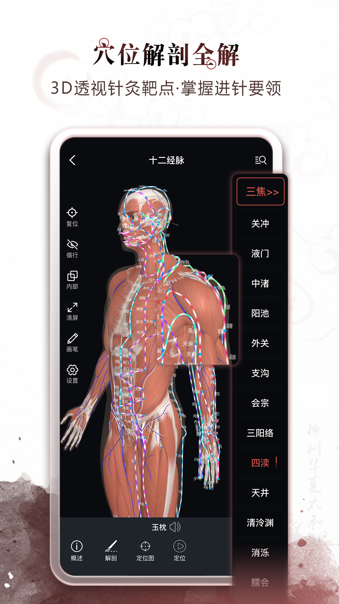 精彩截图-中医经络穴位2025官方新版