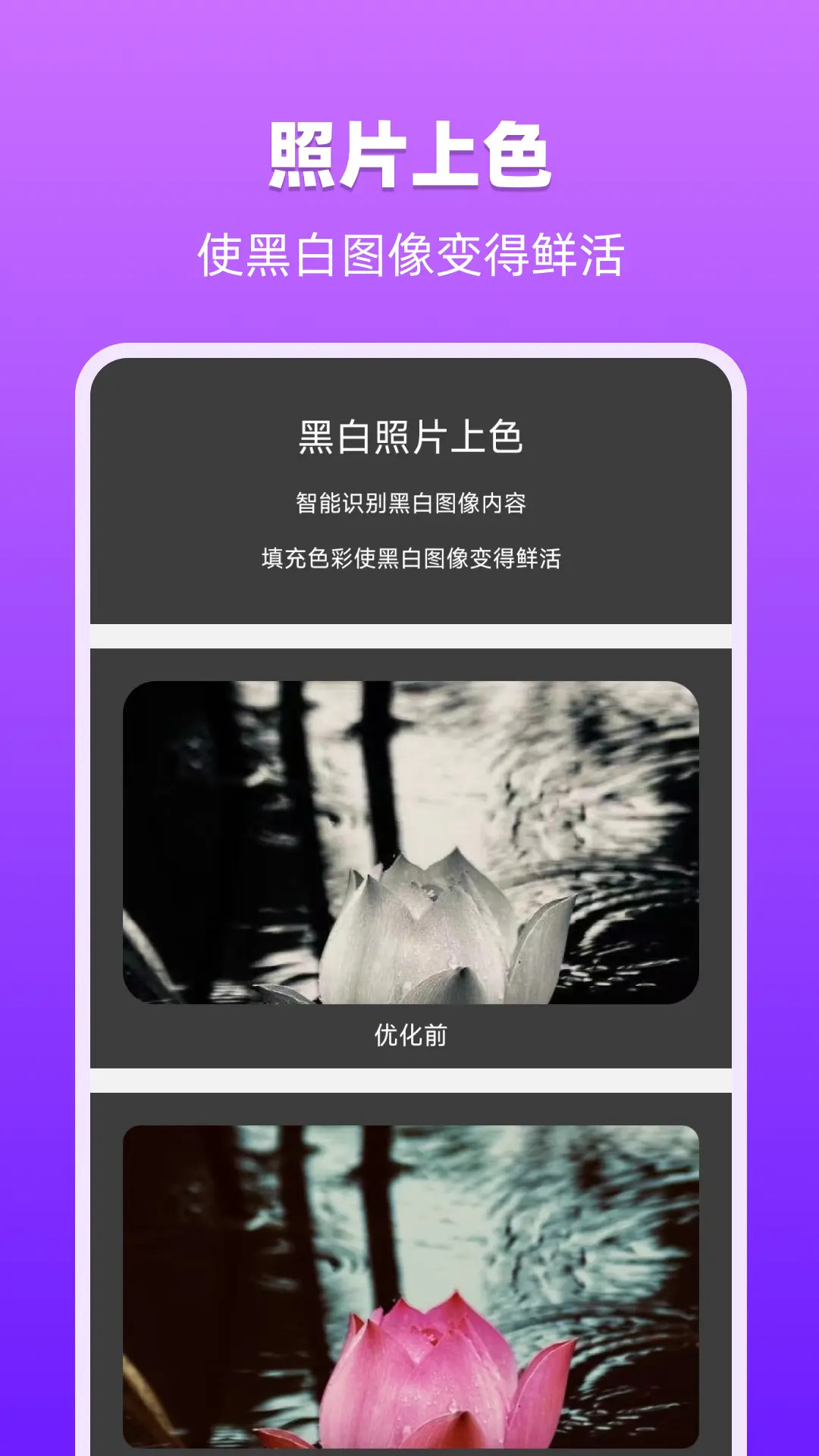 精彩截图-图像处理大师2026官方新版