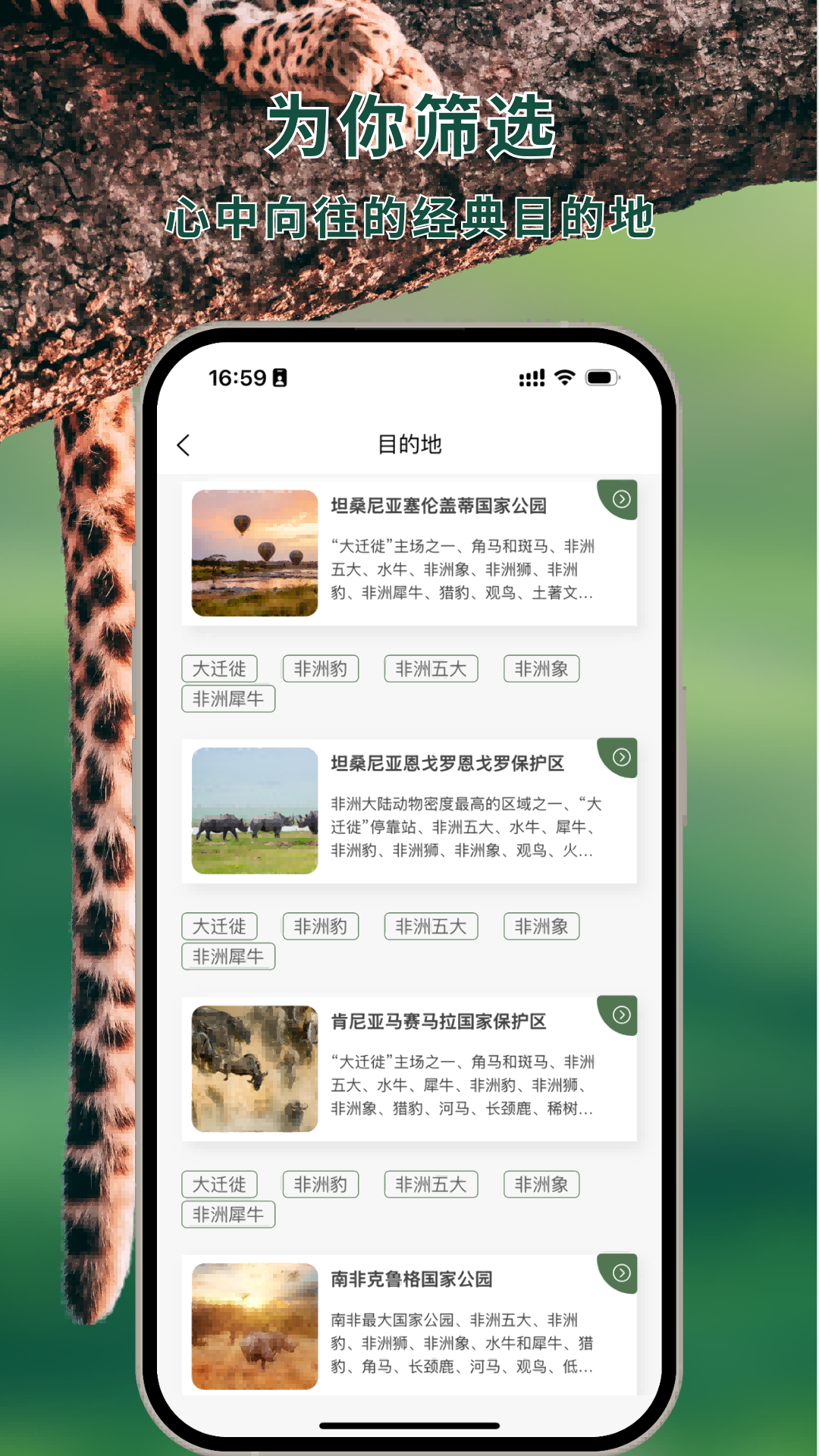 精彩截图-熊猫客2025官方新版