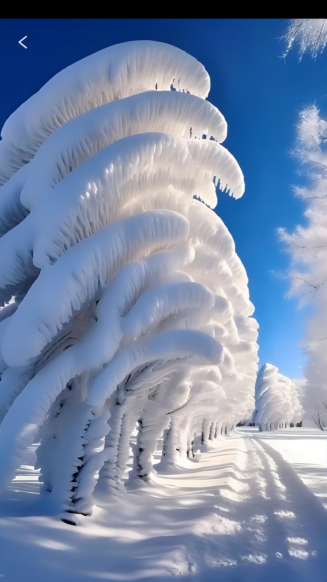 精彩截图-花季2026官方新版