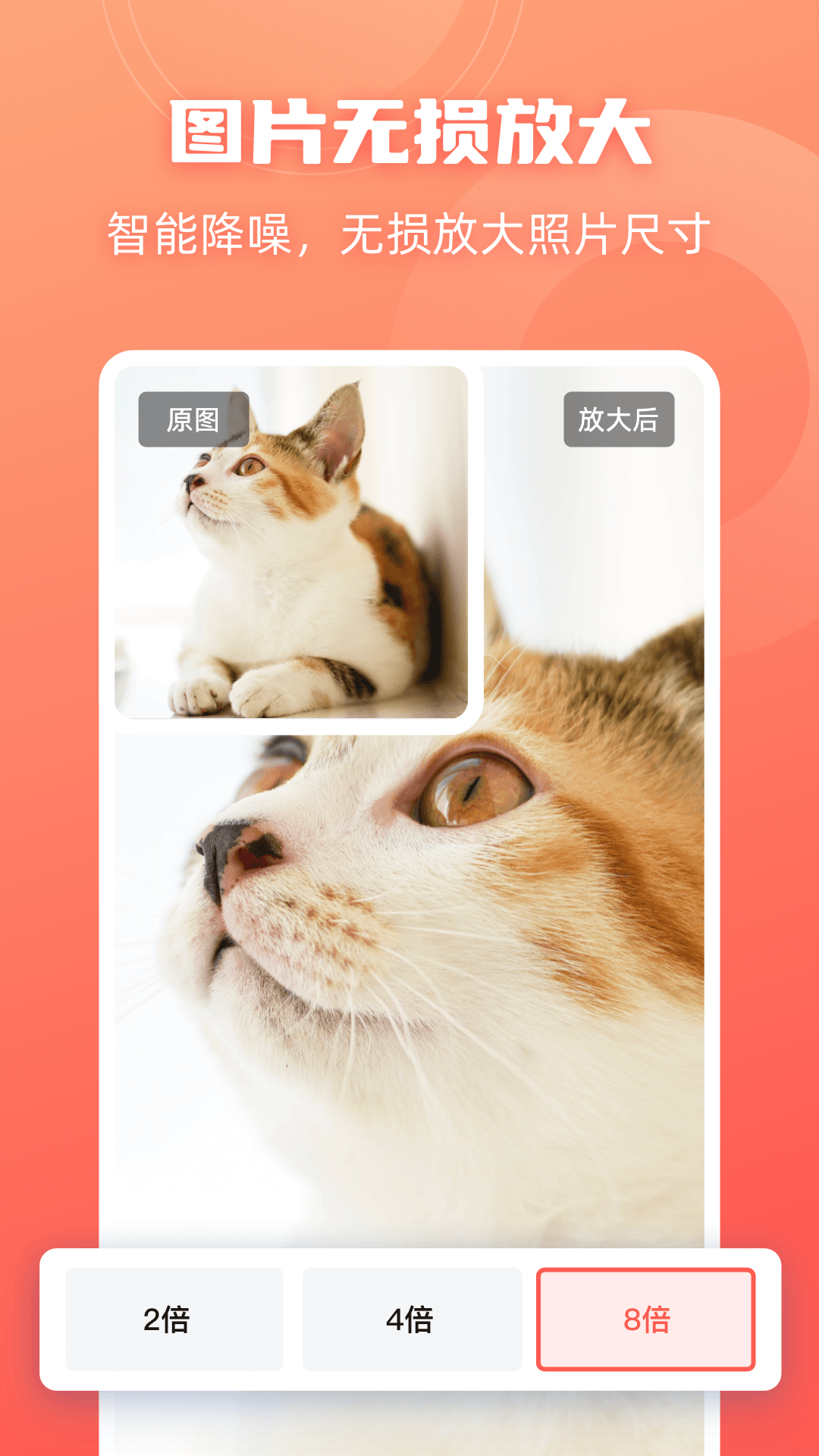 精彩截图-嗨格式抠图大师2026官方新版