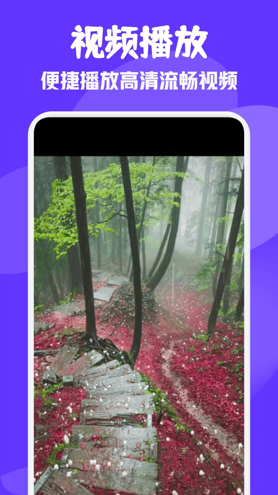 精彩截图-雨林影视2025官方新版