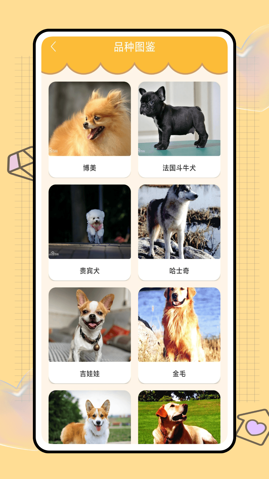 精彩截图-猫猫狗狗翻译器2026官方新版