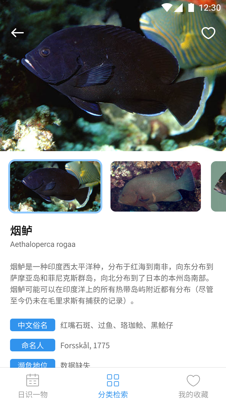 精彩截图-奇妙海洋2025官方新版