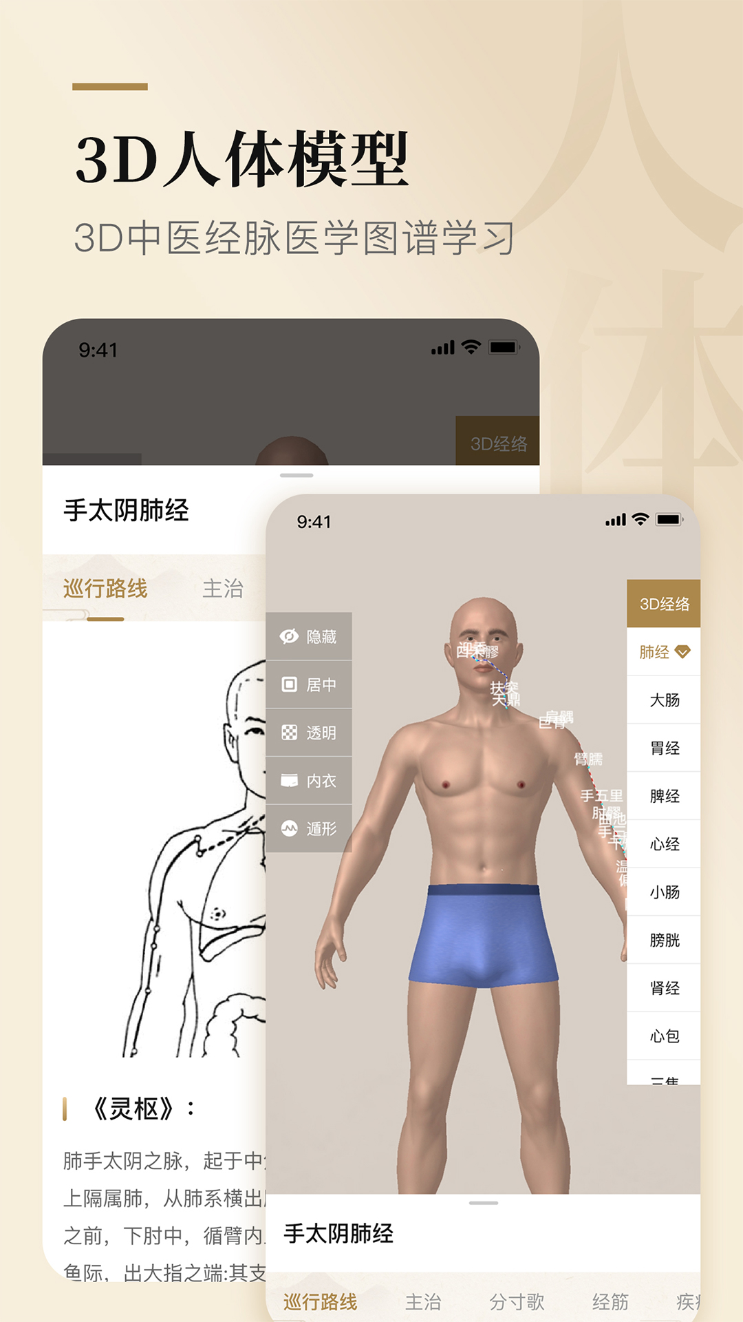 精彩截图-经络穴位标准指南2026官方新版