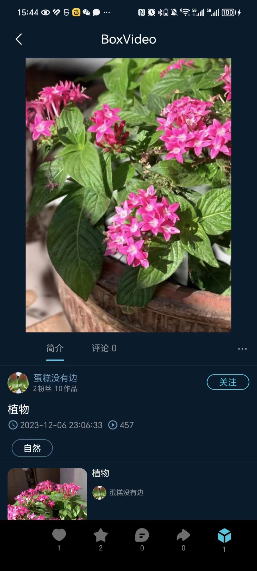 精彩截图-RealPlay2026官方新版