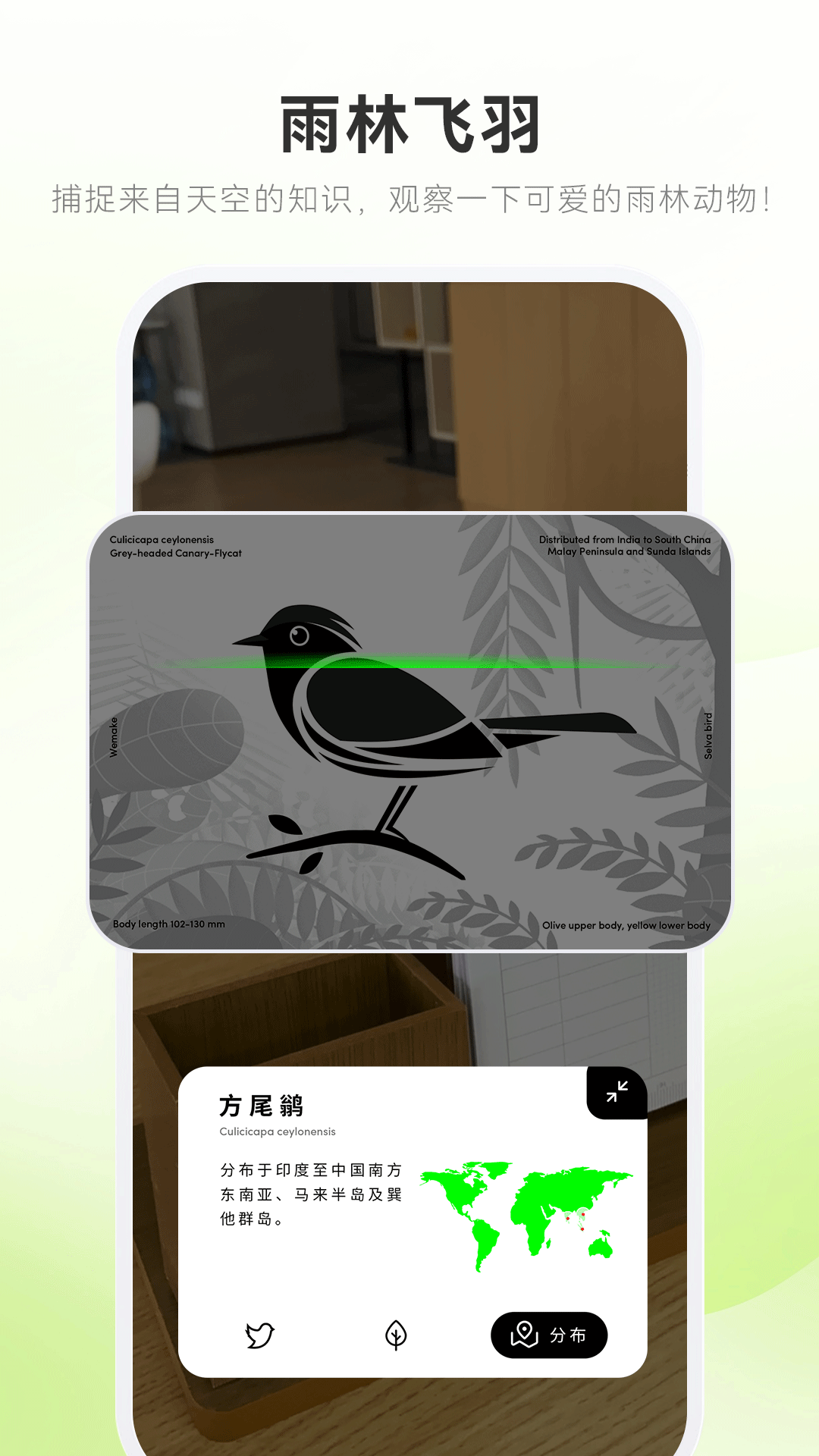 精彩截图-wemakeAR 遇见2025官方新版