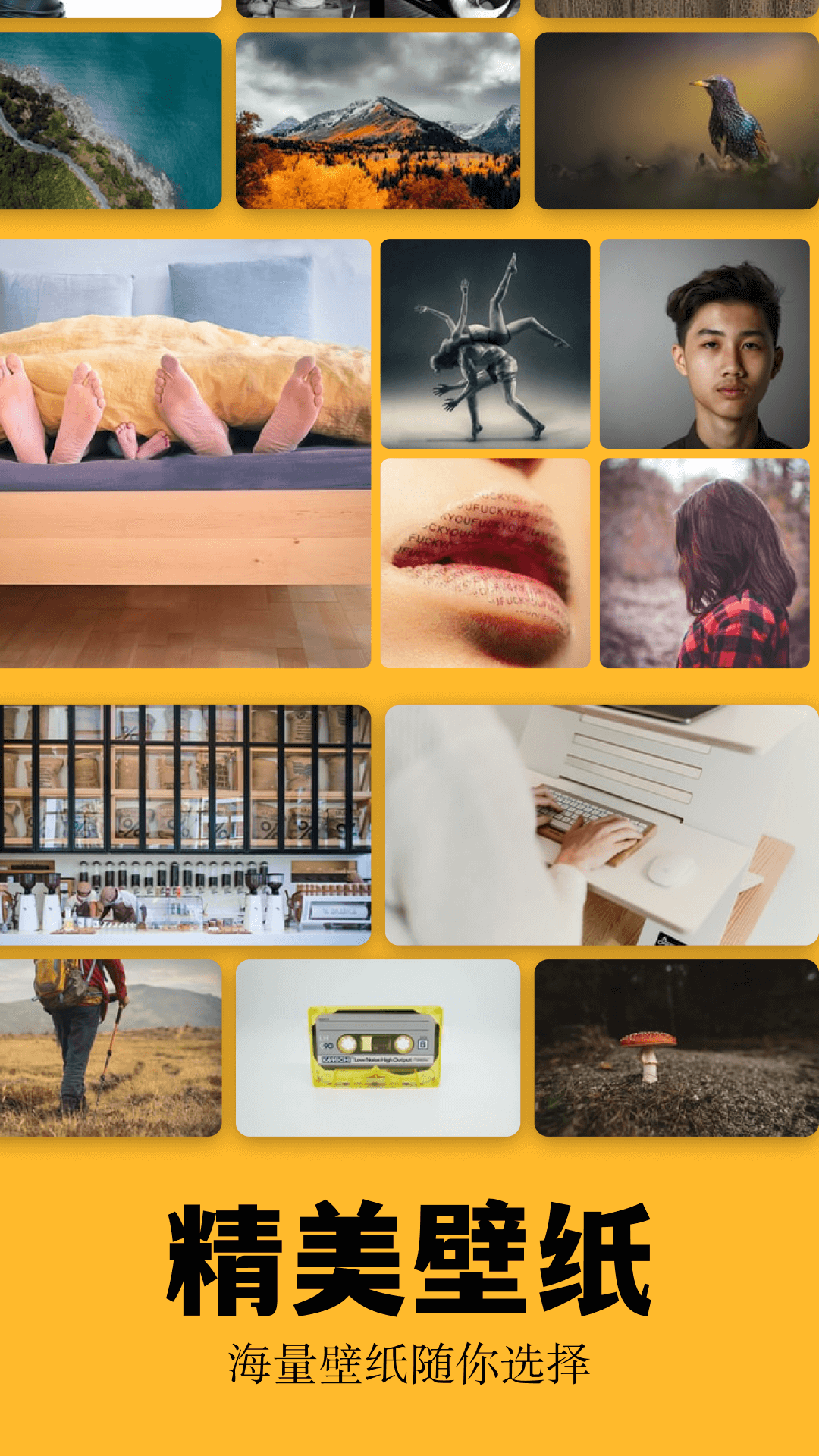 精彩截图-彩虹猫2025官方新版