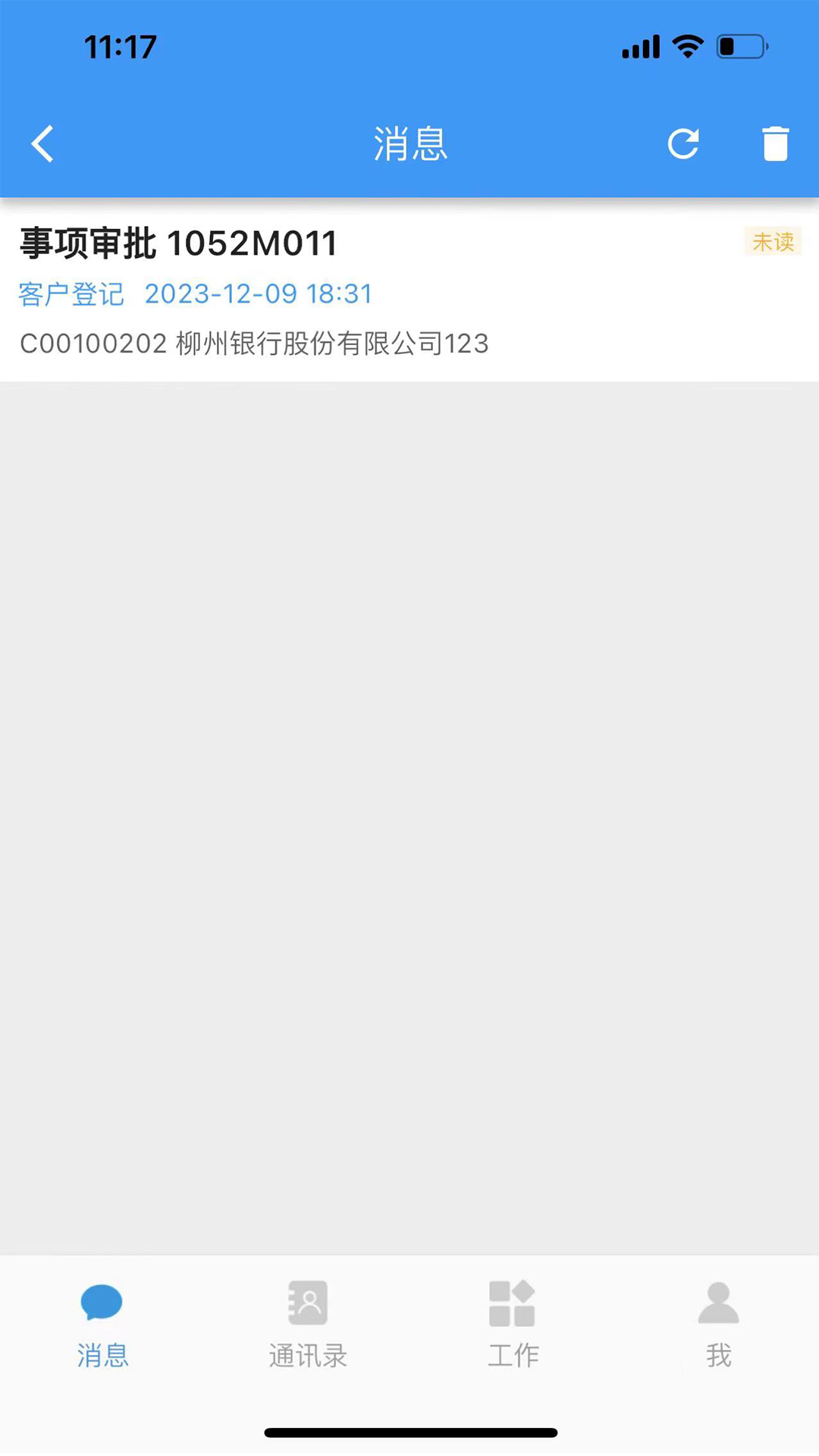 精彩截图-CPAS审计管理2025官方新版