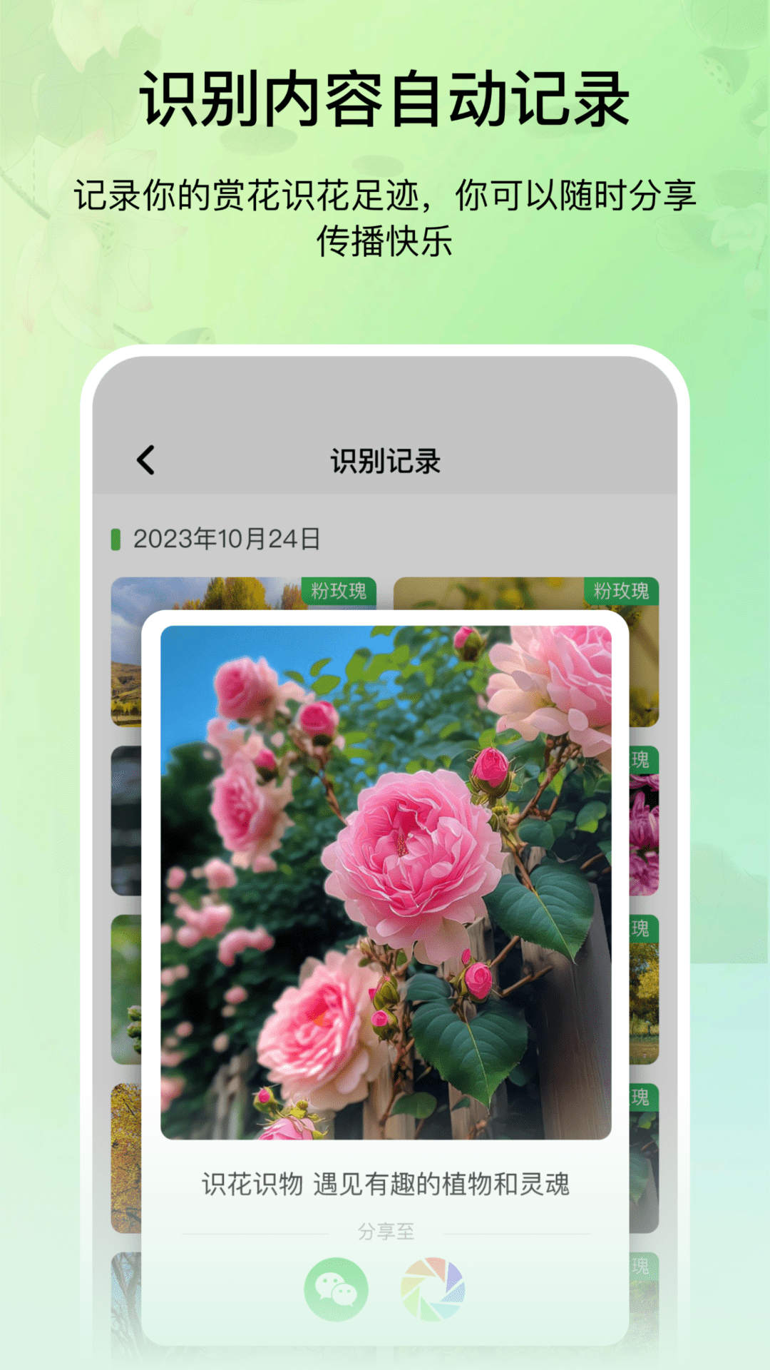 精彩截图-花卉识别图鉴2025官方新版