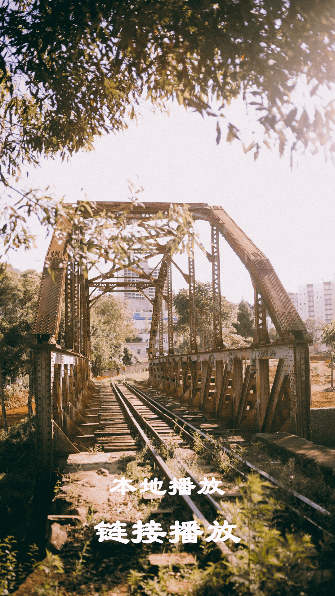 精彩截图-本地视频播放解码2025官方新版