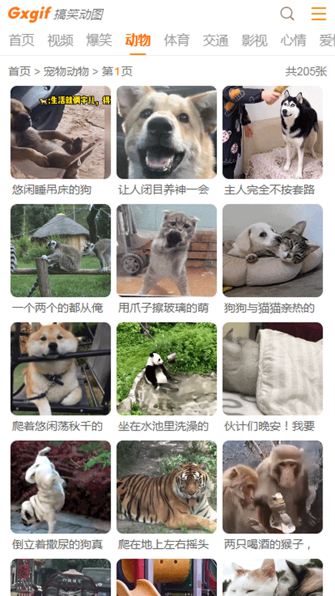 精彩截图-搞笑动图2025官方新版