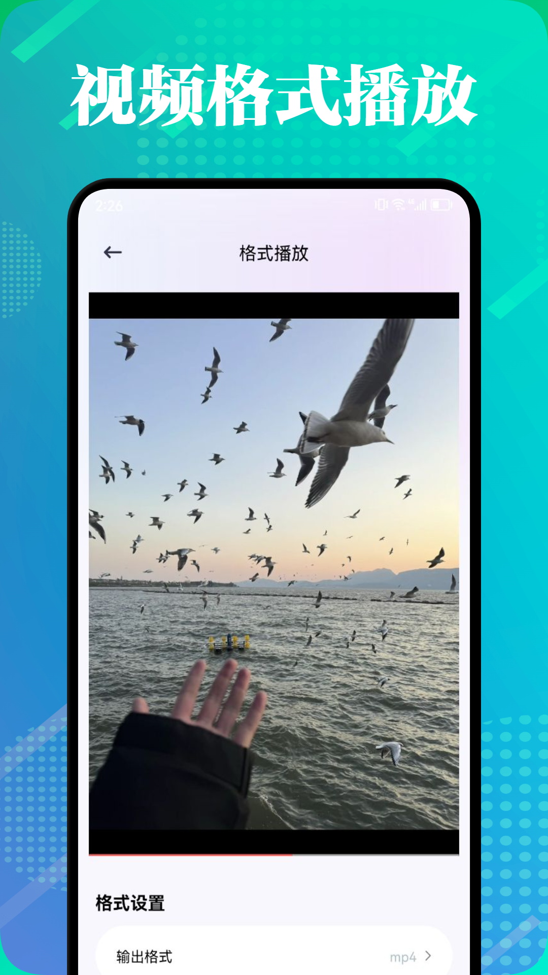 精彩截图-野马视频2025官方新版